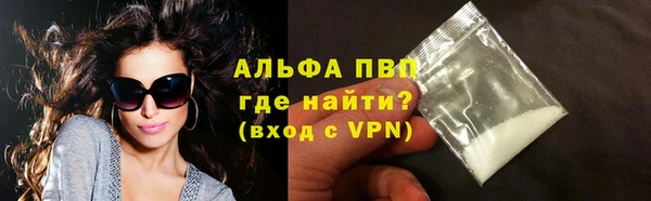 ПСИЛОЦИБИНОВЫЕ ГРИБЫ Дубна