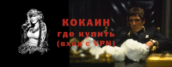 стафф Осташков