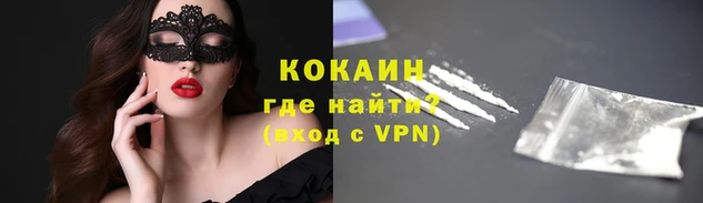 стафф Осташков