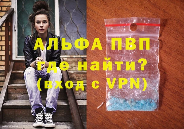 стафф Осташков
