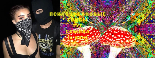 стафф Осташков