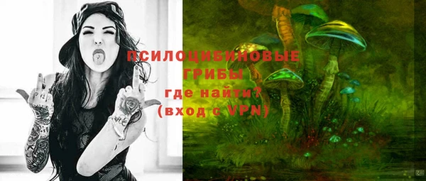 стафф Осташков
