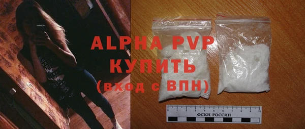 стафф Осташков