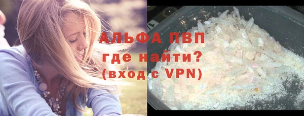 стафф Осташков