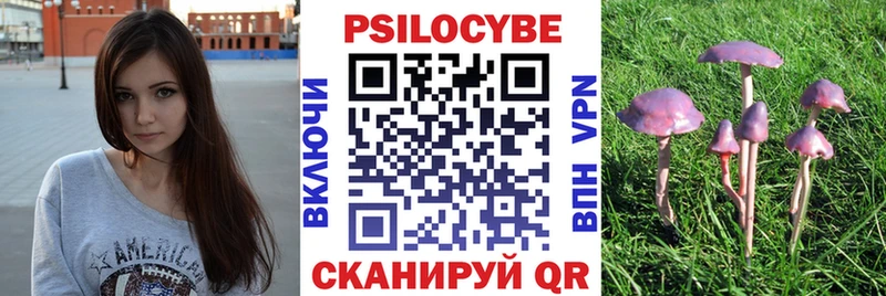 Галлюциногенные грибы мицелий  Новомичуринск 